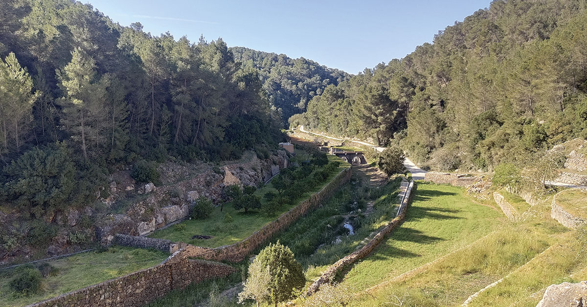 es broll de buscastell in ibiza